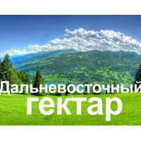 С 1 февраля каждый россиянин сможет получить «дальневосточный гектар»