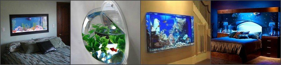 Как правильно выбрать аквариум для дома 