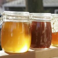 Как выбрать мед при покупке в магазине или на рынке