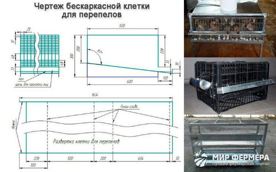 Клетки для перепелов