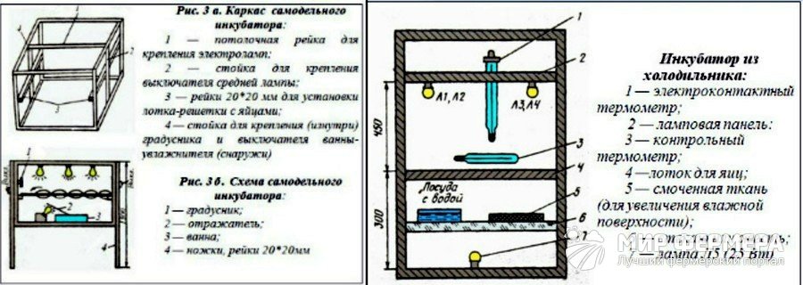 Инкубатор для перепелов своими руками