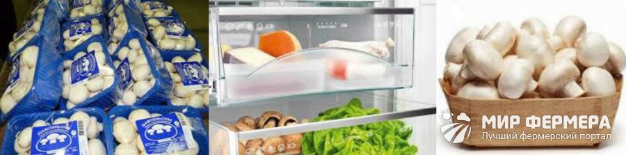 Сколько можно хранить шампиньоны в холодильнике