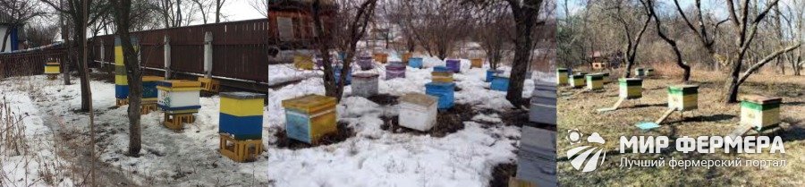 Подготовка пасеки к выносу пчел