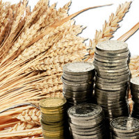 Цены на зерно упали до рекордного минимума