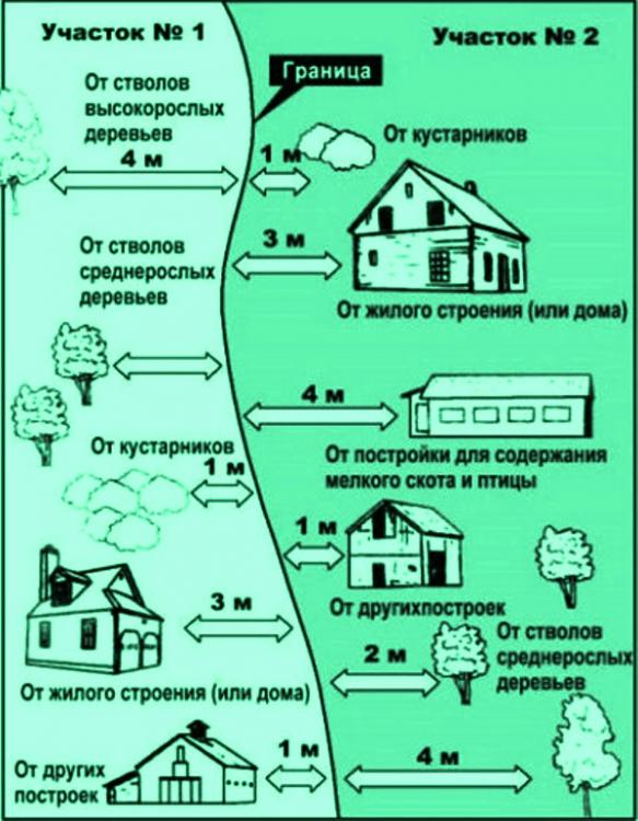 Границы участка. Деревья от границы участка. Среднерослые и высокорослые деревья высота. Деревья от границы участка СНТ. Расстояние дерева от границы участка.