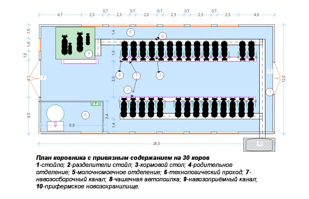 проект фермы крс на 30 коров.jpg