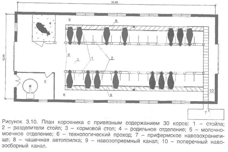 Строительство фермы для КРС