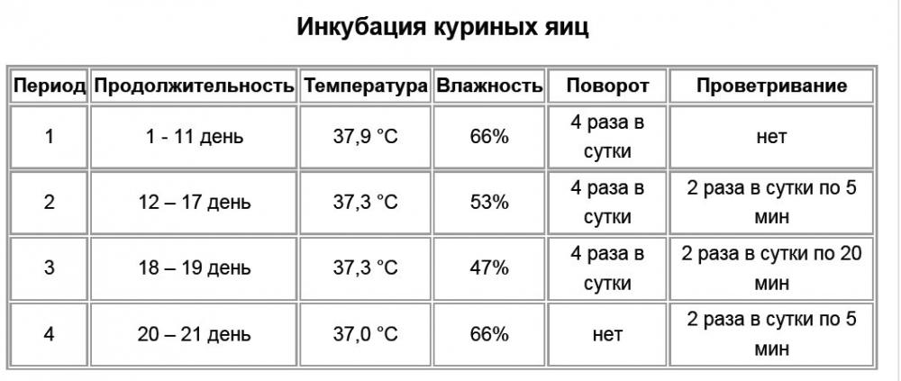 коммент.jpg