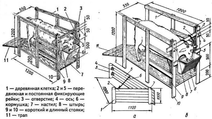 Размеры устройство. Чертеж доильного станка для козы. Схема доильного станка для коз. Станок для дойных коз чертежи. Доильный станок для коз Размеры.