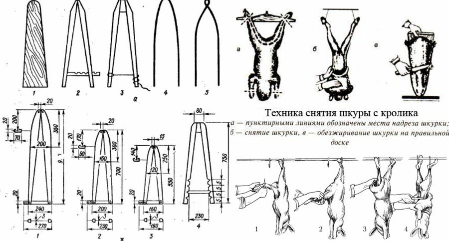 Выделка шкур кроликов — как выделывать шкурки