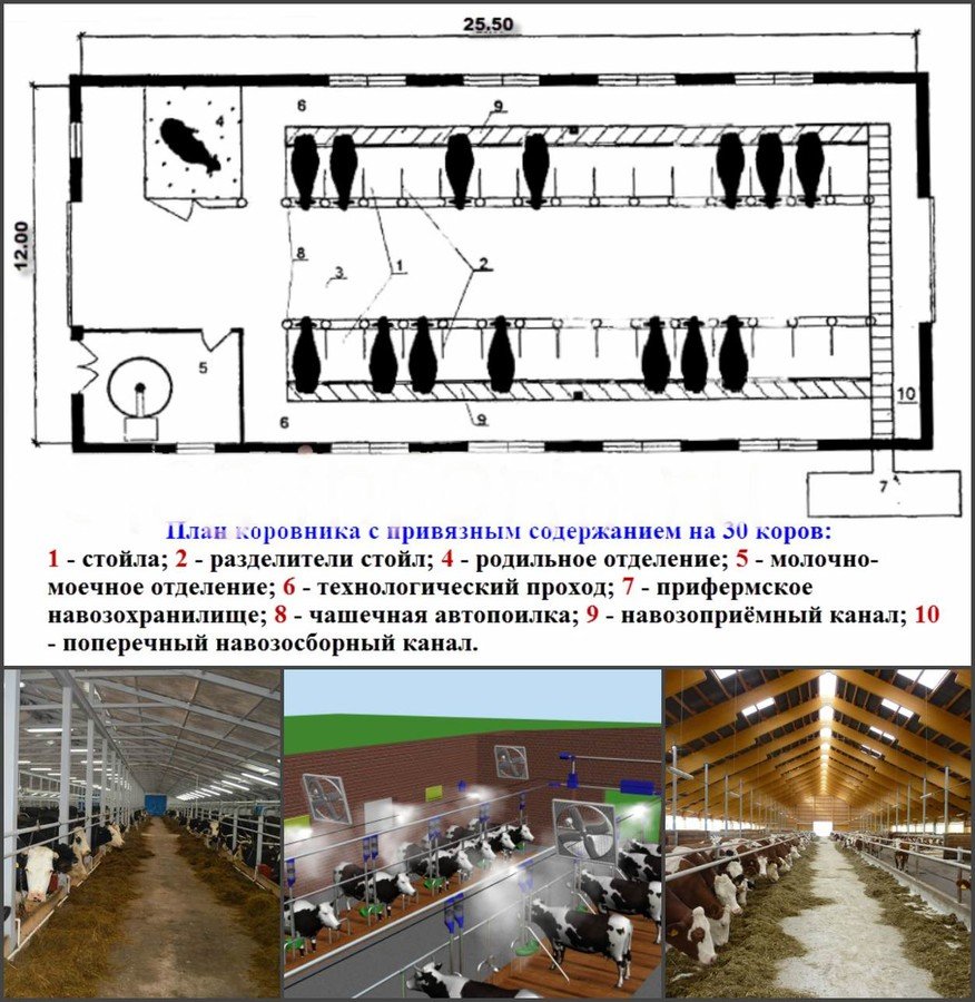 Проектирование коровников (комплексы для КРС)