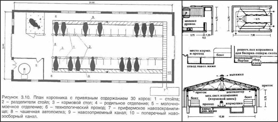 Проект домашнего коровника