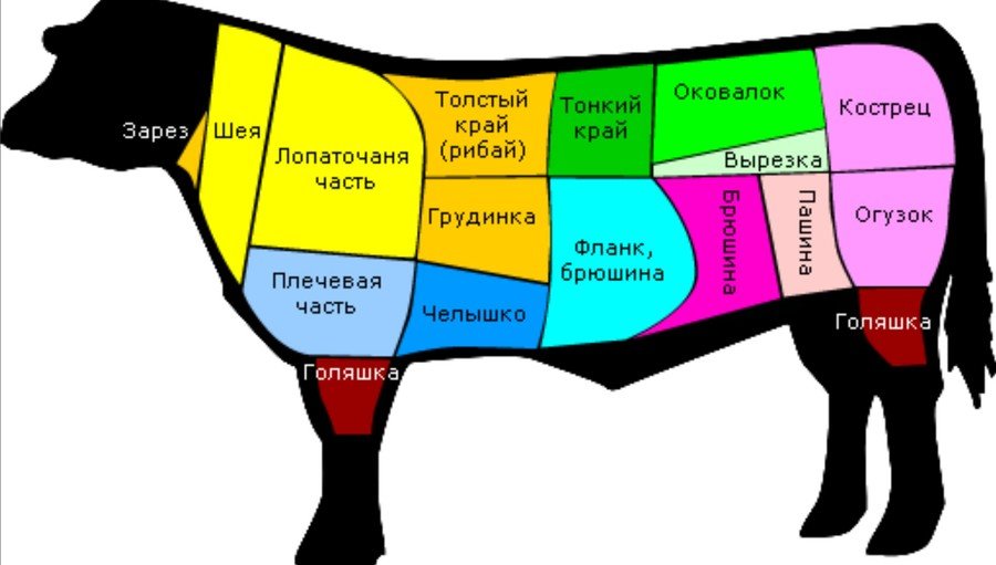 Цельная корова на схеме разделки 4 буквы