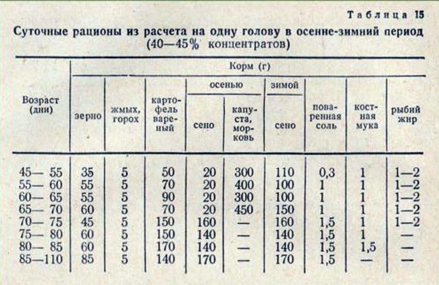 Кормление кроликов зимой