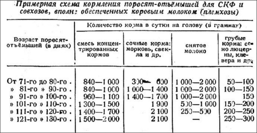 Чем кормить месячных поросят в домашних. Схема кормов для свиней. Рацион поросят отъемышей. Нормы кормления месячных поросят. Норма кормления поросят 1.5 месяца.