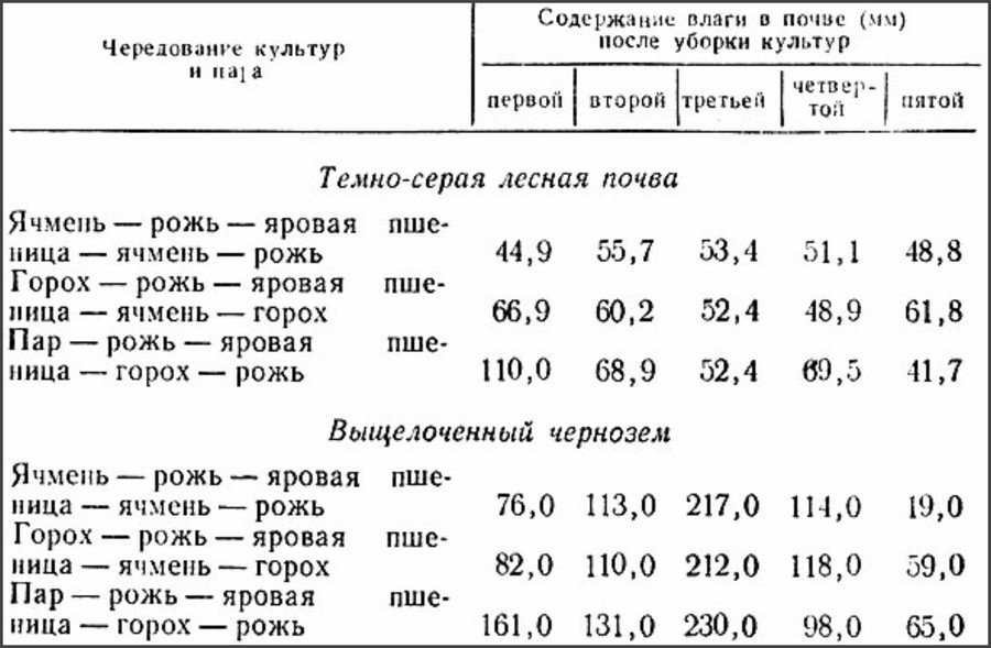 После чего можно сажать рожь