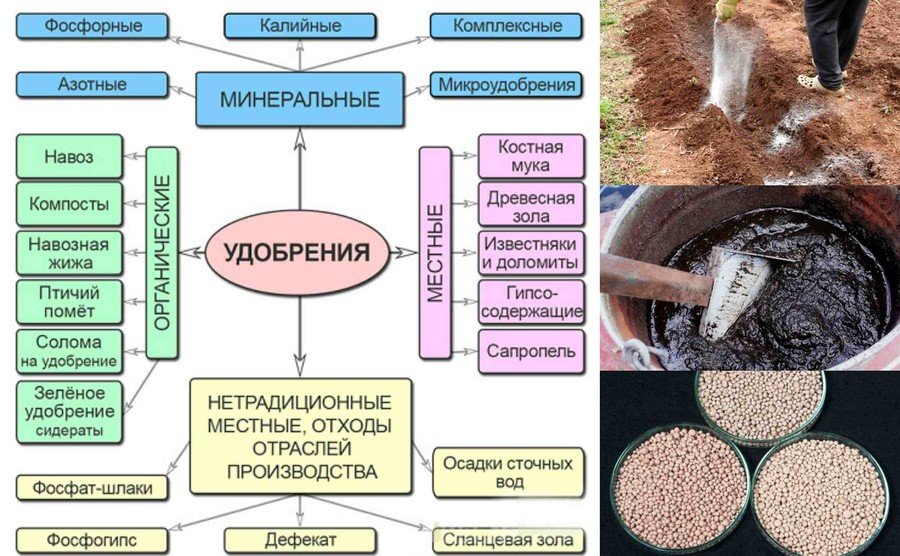  Минеральные удобрения 