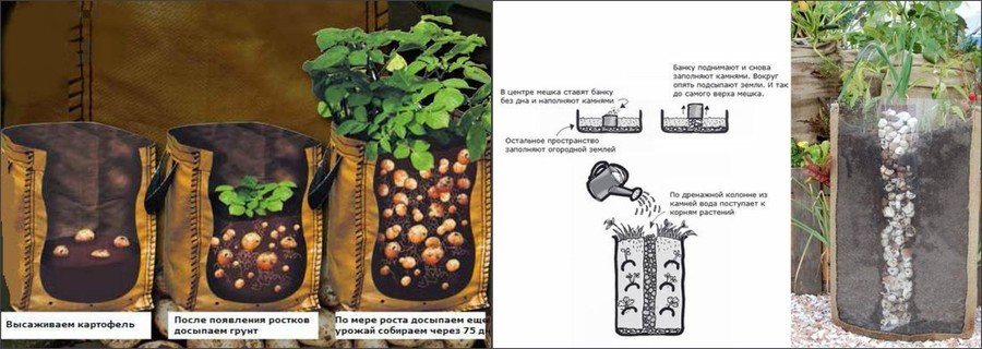Как вырастить картошку в мешке