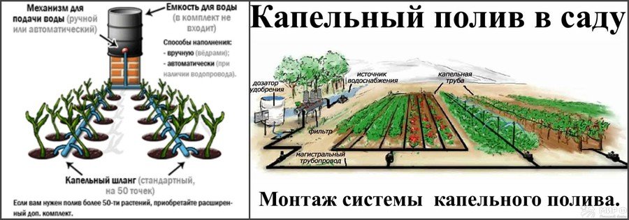 Монтаж капельного полива своими руками