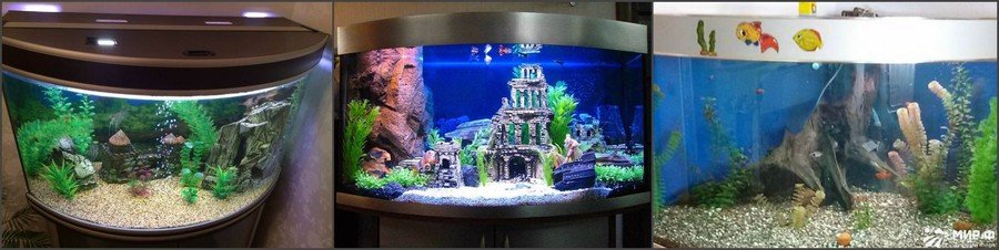 Панорамный аквариум