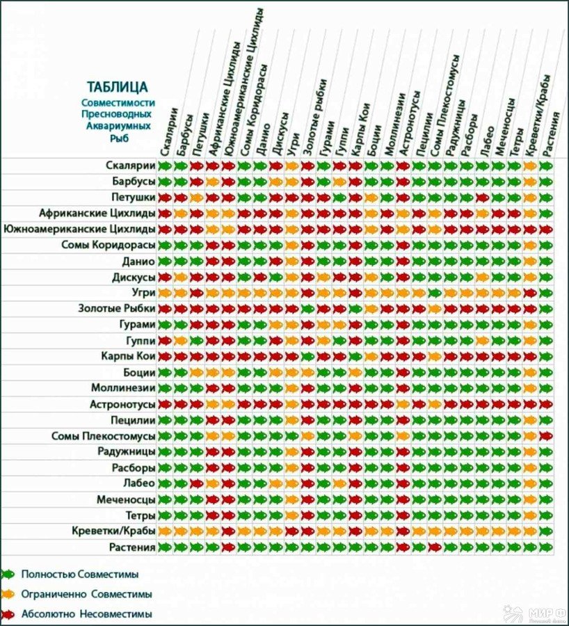 Таблица совместимости аквариумных рыб