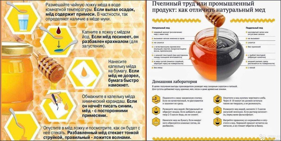 Как правильно выбрать мед