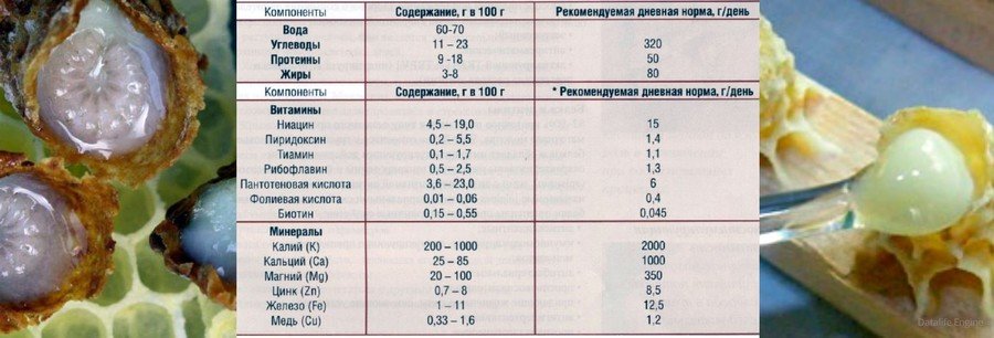 Cостав маточного молочка