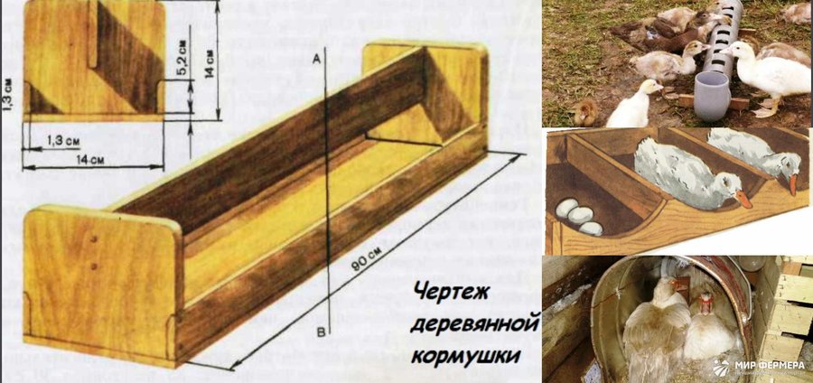 Кормушки для уток своими руками