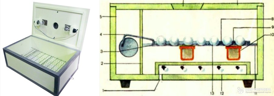 Инкубаторы с автоматическим переворотом яиц