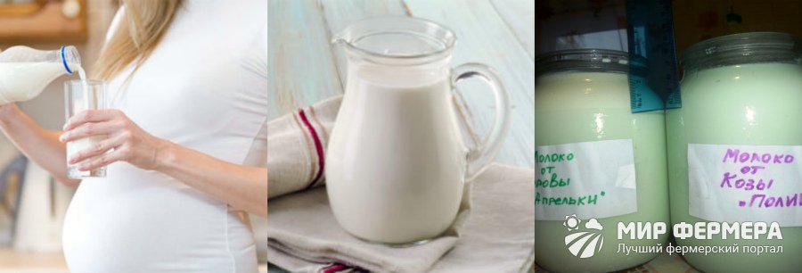 В чем лучше хранить молоко