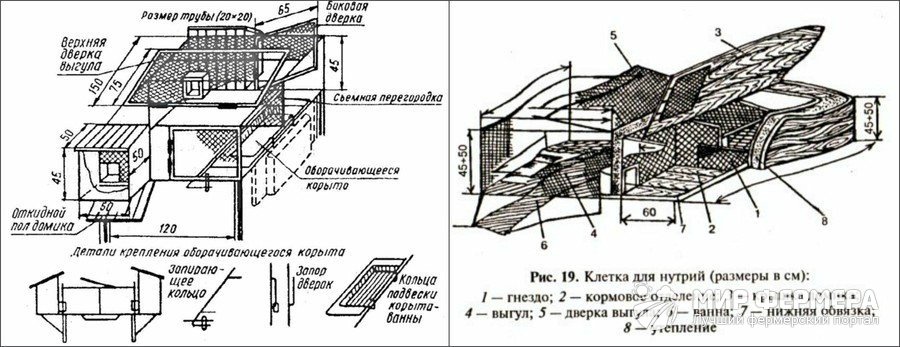 Клетка для нутрий своими руками