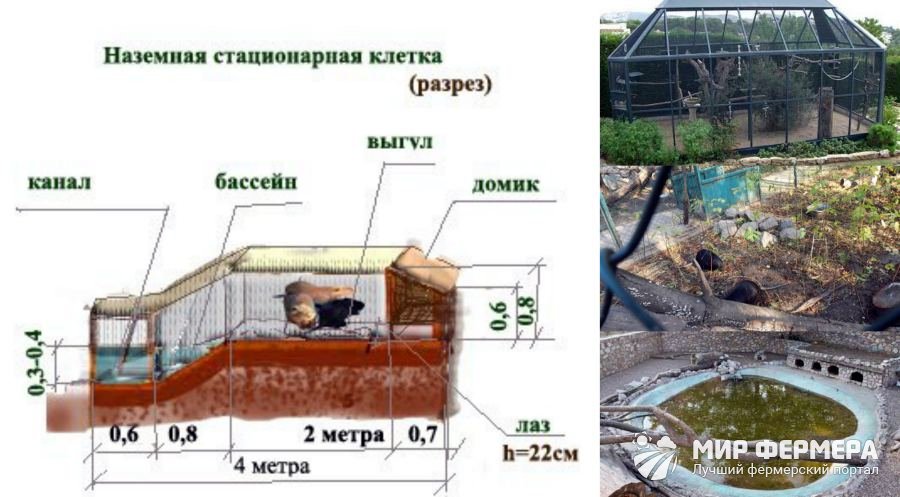 Как построить вольер для нутрий