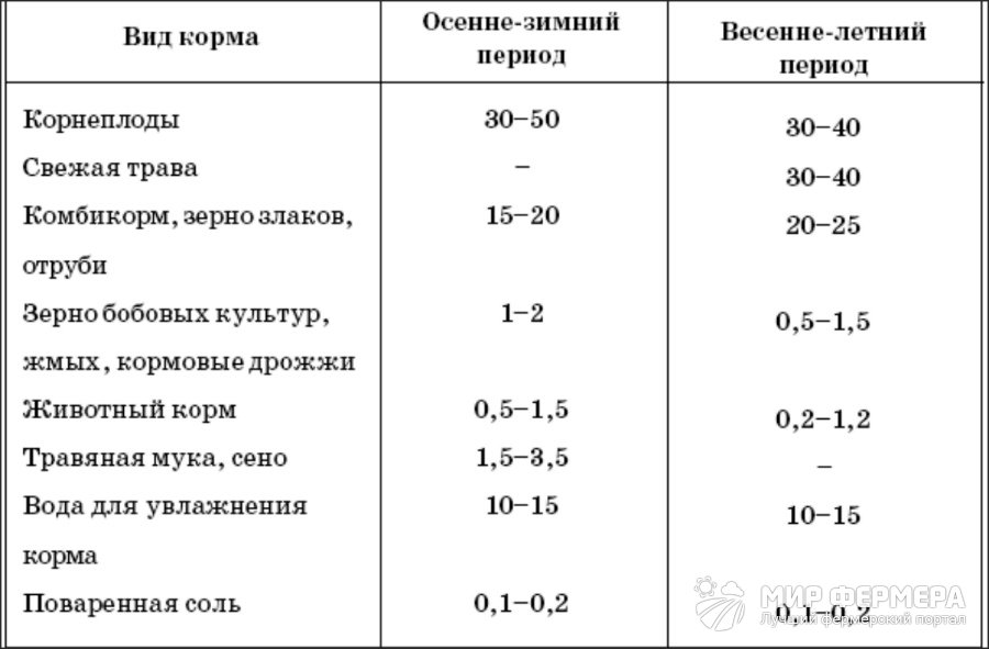 Рацион для нутрии в сутки