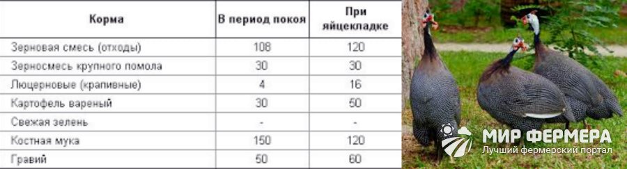 Травяной корм в гранулах для фазанов цесарок куропаток 10кг арт. 22328