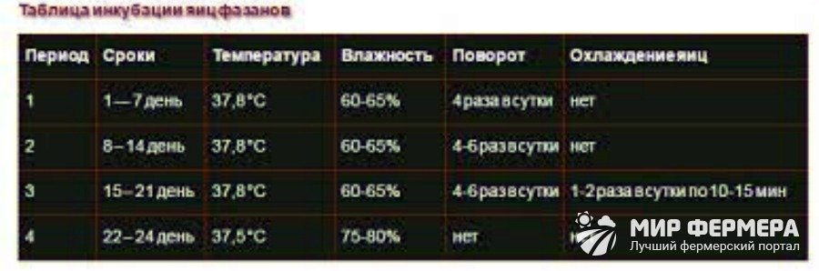 Габузов О.С. (ред.) Искусственное разведение фазанов (методические рекомендации)