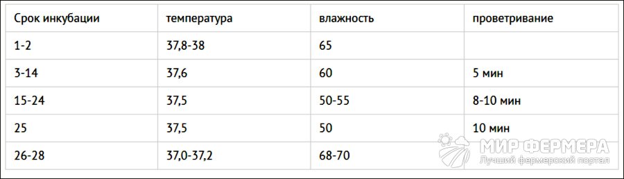 Подготовка к инкубации