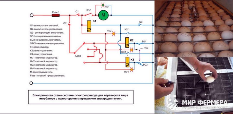 Инкубатор для яиц из холодильника своими руками схема и описание