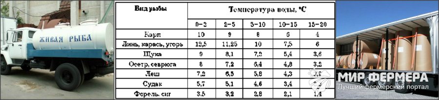 Автоперевозка рыбы