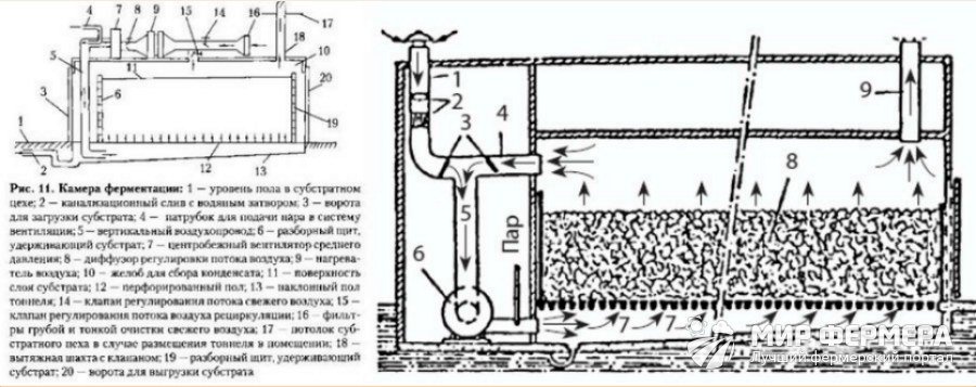 Схема выращивания вешенок