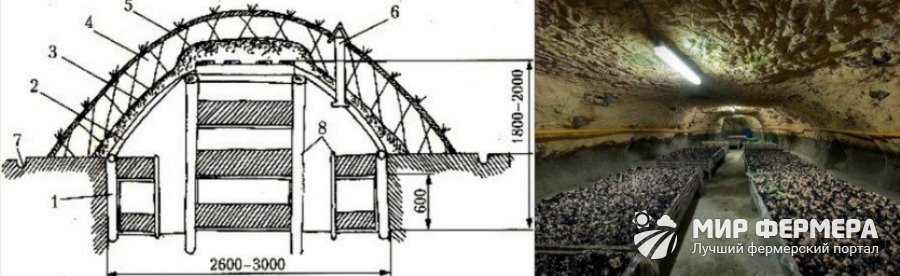 Комплекс для выращивания шампиньонов чертеж