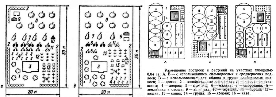 Схема расположения плодовых деревьев и кустарников на участке 6 соток