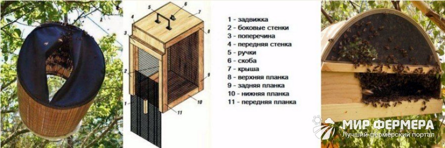 Чертеж роевни Роевня для пчел своими руками