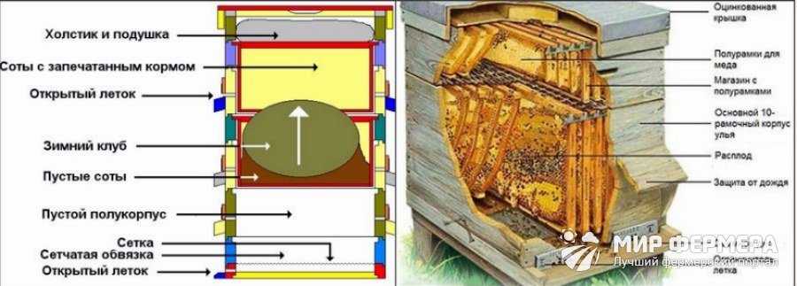 Как обустроить улей внутри