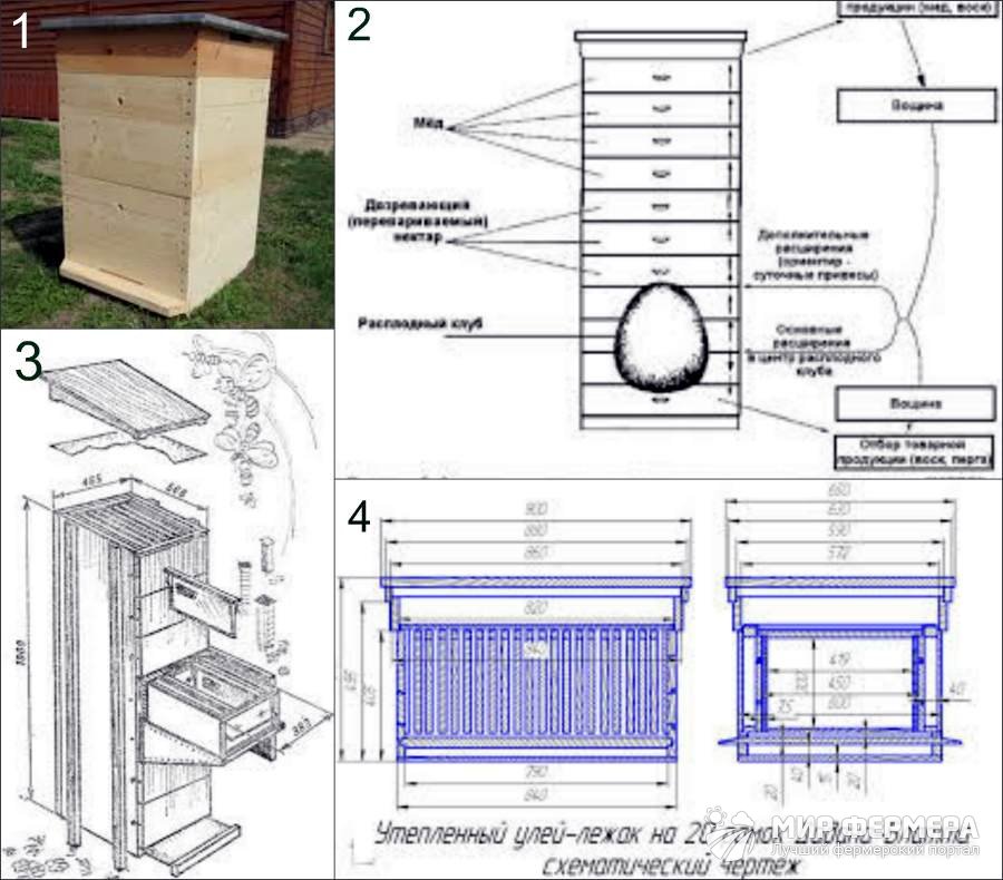 Ульи для пчел: типы и устройство, с какого начинать, изготовление, схемы, материалы