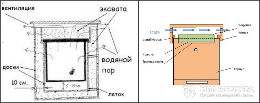 Вентиляция улья Вентиляция пчелиных ульев