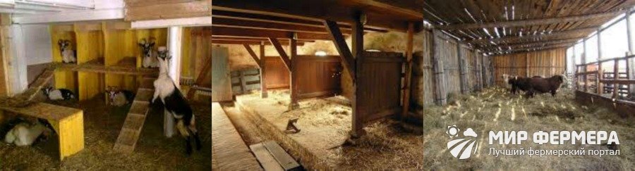 Как построить сарай для быков – дом для большой скотины