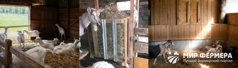 Постройка сарая (козлятника) для коз своими руками