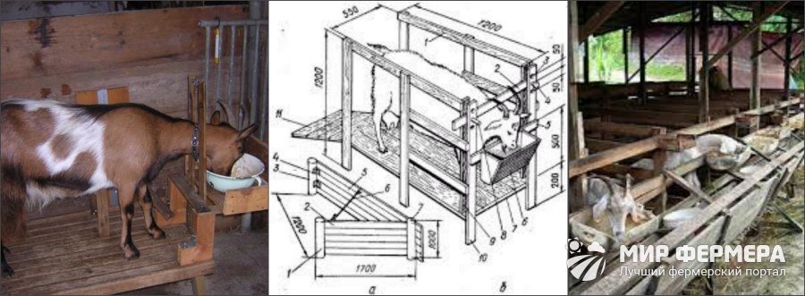Сарай для содержания коз, полы в сарае, кормушки для коз