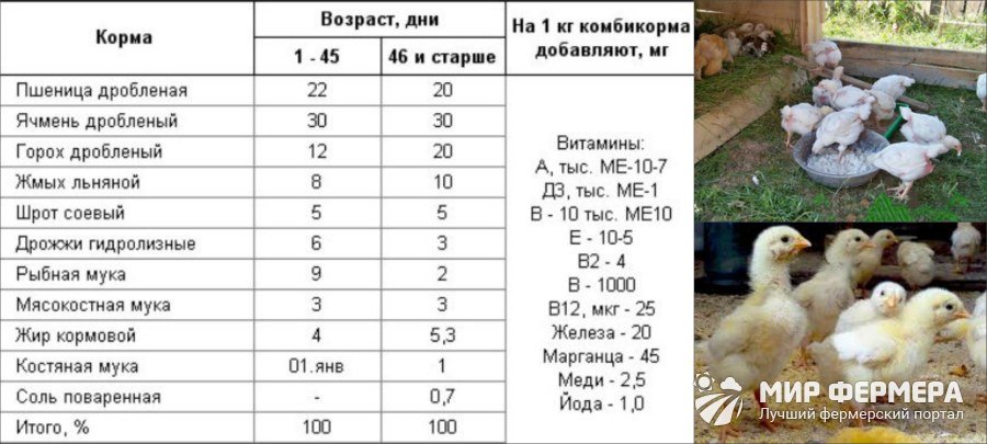 Чем кормить индюшат с первых дней. Таблица кормления бройлерных индюков. Норма комбикорма для цыплят несушек. Корм для кур несушек по возрасту. Таблица кормления бройлеров индюков.