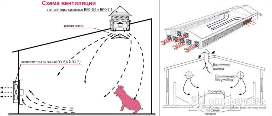 Как правильно построить свинарник своими руками: требования, расчеты